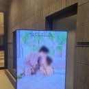 한일충전소 | 한일커플 광명역 테이크호텔 아이리스홀 결혼식 후기(일본어 사회, 스드메)