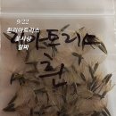 두콩이네 이미지