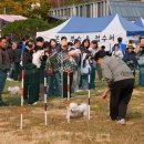 따뜻한 on동물병원 이미지