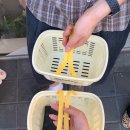 6월 성수팝업 주말 웨이팅 방문 실망 후기 성수 휩드 팝업