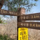영 농장 Daum카페