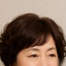 비엔나헤어 | [염색약 추천] 모발손상 걱정 없는 순한 염색약, 비엔나퓨어뷰티 사용 후기