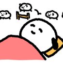 코코네카페