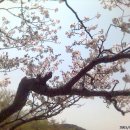 무등산식당 이미지