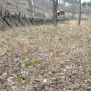 해치농장 이미지