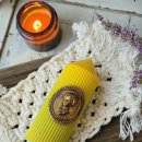 까메오 | 봄빛을 담아간 까메오 필라캔들 원데이클래스 후기 🌼🌻