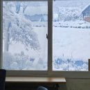 푸른꿈고등학교 이미지