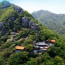 향일암로 이미지