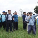 이시발 묘소 이미지