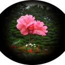 UN기념공원 이미지