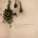 2019-주119 이미지