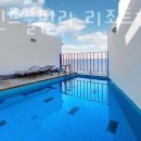 메르센트 이미지
