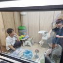 하단독일보청기 이미지