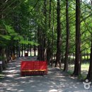 지구마을산책 이미지