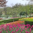 원신공원 이미지