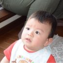 쵸우 이미지