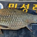 안흥수낚시