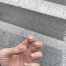 네일루시르 이미지