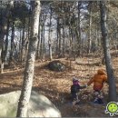 서초유치원 이미지