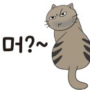 땅끝회수산 이미지