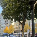 세븐일레븐방배서리풀 이미지