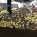 범천농장 이미지