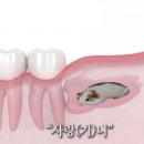 젬바이오 | 이제 종강할 때 된 것 같지 않아? 종강 처 하자.