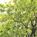 동행공인중개사사무소 이미지