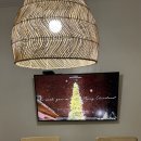 스테이하몽 이미지