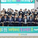 11월11일 이미지