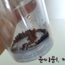 에이드커피