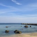 경정2리경로당 Daum카페
