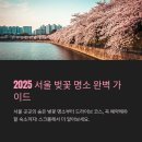 홍제천자동차공업사 정도 천변 | 2025 서울 벚꽃명소 추천｜드라이브 코스 &amp; 숙박까지 한 번에!
