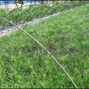 해송2로 이미지