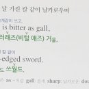 대저 OIL