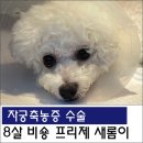 새롬동물병원 이미지