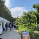 11260-2-4-6 | 서울숲 포켓몬스터 시크릿 포레스트 주말 현장예약 후기 대기시간 실화?