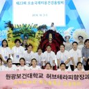 허브테라피 이미지