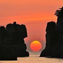 노고지리 이미지