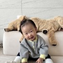 모이몰른 | 아기옷 사이즈팁 실착후기-아프리콧 베베소유 벨라밤비나 모이몰른 드타미 더피넛스튜디오