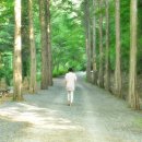 상소동 오토캠핑장 이미지