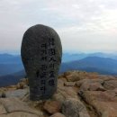 장미꽃길