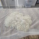 월광디테일 이미지