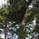 중앙슈퍼(나들가게) 이미지