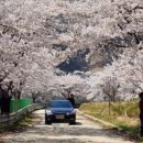 거창-고제-10 이미지