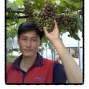 대양농장 이미지