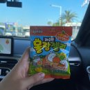 저지안트레 | [제주 서쪽 여행]제주검정보리마씸부터 산양큰엉곶까지🌙 1일차 여행코스