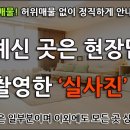 센텀프리모 부동산공인중개사사무소 이미지