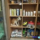 투투 동물병원 이미지