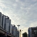 터미널앞 GS편의점~계룡아파트 입구 | 🌈 서울 야경 명소 추천: 반포한강공원 달빛무지개분수 완벽 가이드